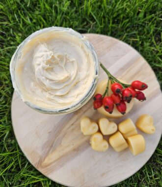 Vorträge und Webinare